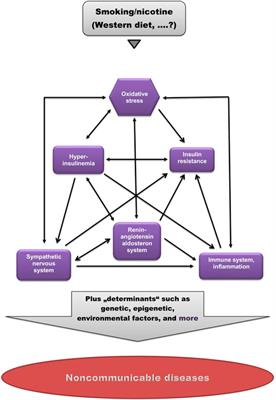 Pathogenesis of (smoking-related) non-communicable diseases—Evidence for a common underlying pathophysiological pattern